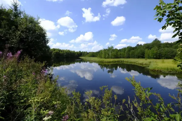 Das Naturschutzgebiet "Rotes Moor" im Biosphärenreservat Rhön