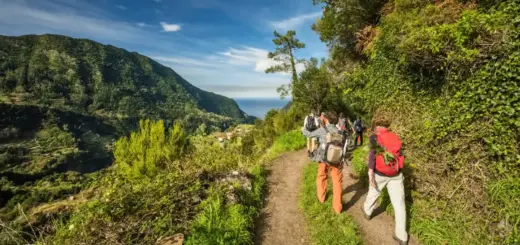 Levada dos Tornos - Dominik Ketz - Erlebnisrundreisen.de