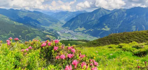 Alpenrose mit Blick auf Bad Hofgastein - Manfred Schmidt - © Manfred Schmidt / adobe.com - Erlebnisrundreisen.de