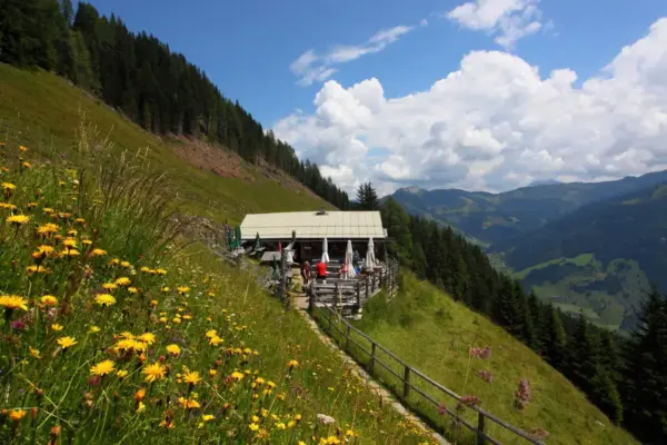 Viehhausalm - Tourismusverband Großarltal - © www.grossarltal.info - Erlebnisrundreisen.de