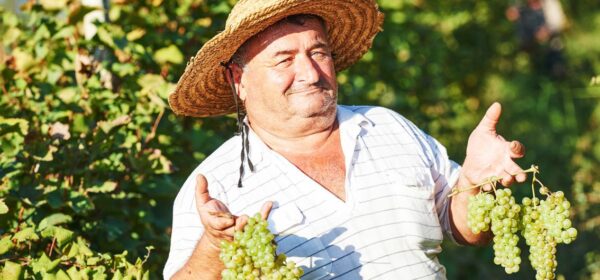 Georgien Gruppenreisen
