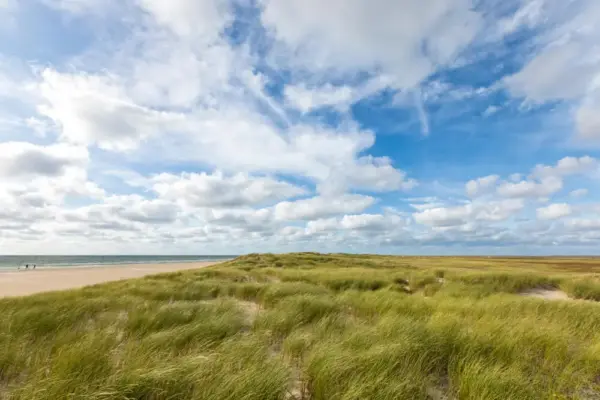 Dünen von Rømø - eyewave - © eyewave / Adobe.com - Erlebnisrundreisen.de