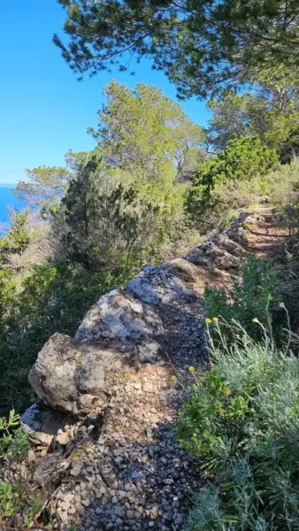 Ibiza - Niklas Kullig - Erlebnisrundreisen.de