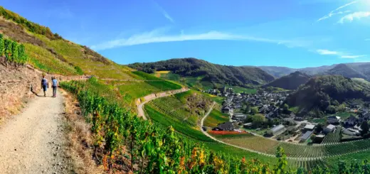 Auf dem Rotweinwanderweg nach Altenahr - Julia Hermann - Julia Hermann /Adobe.com