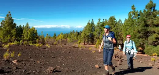 Wandern im Teide-Nationalpark - Klaus Hoffmann - © K. Hoffmann - Erlebnisrundreisen.de
