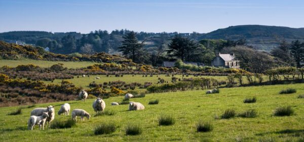 Irland Bahnreisen