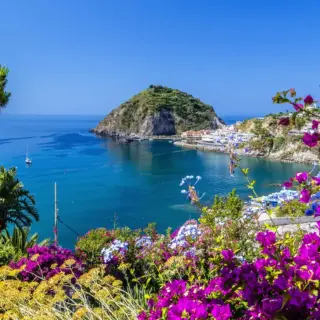 Blühendes Ischia - Vivida Photo PC - © Vivida Photo PC / Adobe.com - Erlebnisrundreisen.de
