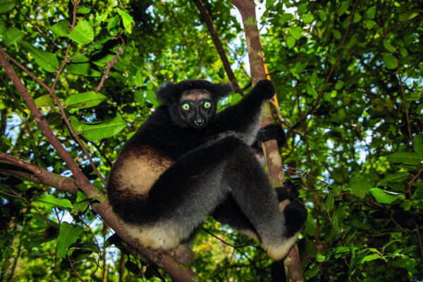 Gruppenreise Madagaskar: Entspannt erleben 2026 | Erlebnisrundreisen.de