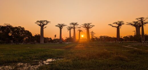 Rundreise Madagaskar: Entspannt erleben 2026 | Erlebnisrundreisen.de