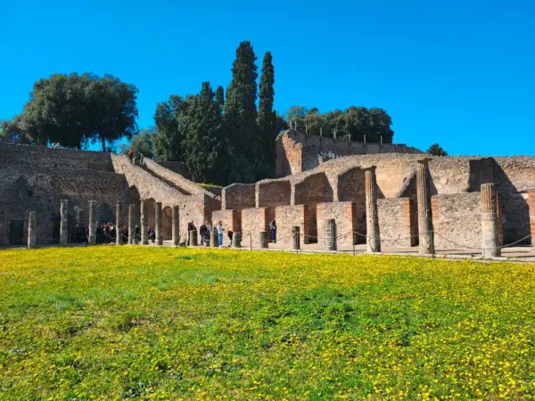 Frühlingsblüte in Pompeji - Mareike Potrikus - Erlebnisrundreisen.de