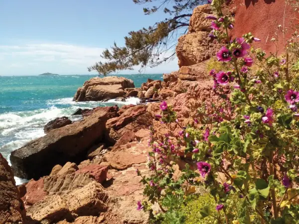 Küstenwanderung bei Sanary-sur-Mer - David Schulte - Erlebnisrundreisen.de