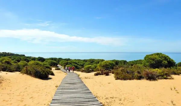 Doñana-Nationalpark bei Cuesta Maneli - joserpizarro - © joserpizarro / Adobe.com - Erlebnisrundreisen.de