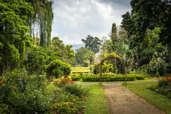 Botanischer Garten in Kandy - Andrea Aigner - © Andrea Aigner / Adobe.com - Erlebnisrundreisen.de