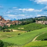 Unterwegs im Monferrato - Claudio Colombo - © Claudio Colombo / Adobe.com - Erlebnisrundreisen.de