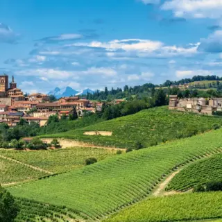 Unterwegs im Monferrato - Claudio Colombo - © Claudio Colombo / Adobe.com - Erlebnisrundreisen.de