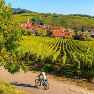Radeln im Elsass - pkazmierczak - pkazmierczak / Adobe.com - Erlebnisrundreisen.de