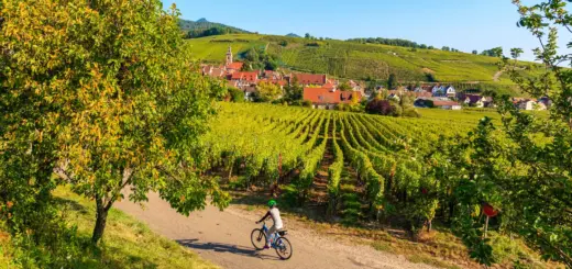 Radeln im Elsass - pkazmierczak - pkazmierczak / Adobe.com - Erlebnisrundreisen.de