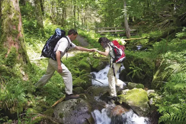 Hohweraschlucht bei Todtmoos - Schwarzwald Tourismus - Erlebnisrundreisen.de