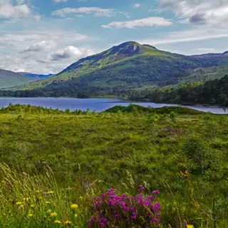 Loch Maree - BabettsBildergalerie - © BabettsBildergalerie / Adobe.com - Erlebnisrundreisen.de