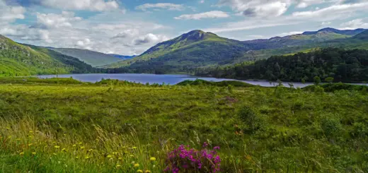 Loch Maree - BabettsBildergalerie - © BabettsBildergalerie / Adobe.com - Erlebnisrundreisen.de