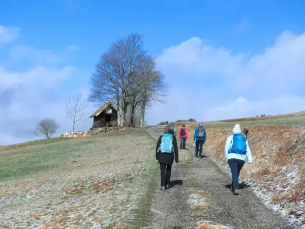 Unterwegs im winterlichen Schwarzwald - Oliver Herrmann - Erlebnisrundreisen.de