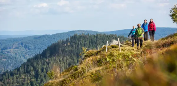 Wanderung auf dem Schwarzwaldgipfel Herzogenhorn - Hochschwarzwald Tourismus GmbH - © Hochschwarzwald Tourismus GmbH - Erlebnisrundreisen.de