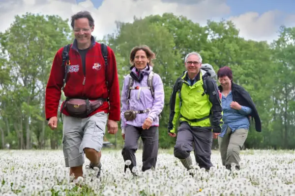 Wanderer im Pusteblumenfeld - Beba Illic - Erlebnisrundreisen.de