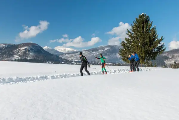 Langlauf im Winter - - PARK JEZERSKO d.o.o. - Erlebnisrundreisen.de