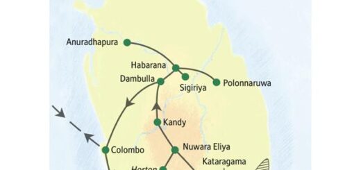 Reiseroute Sri Lanka – Höhepunkte 2026  | Tinta Tours Erlebnisreisen