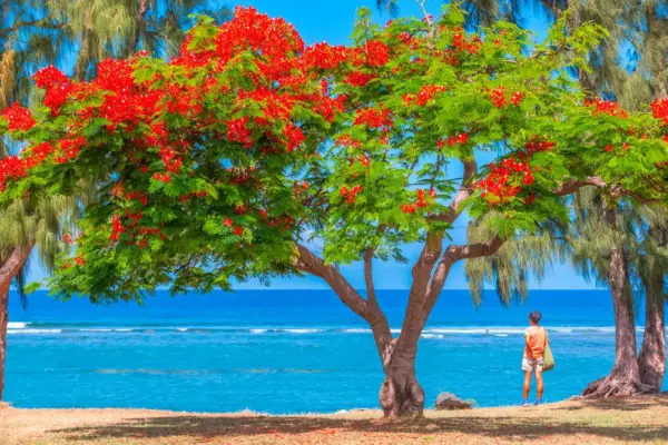 Am Strand von St. Leu - Unclesam - © Unclesam / Adobe.com - Erlebnisrundreisen.de