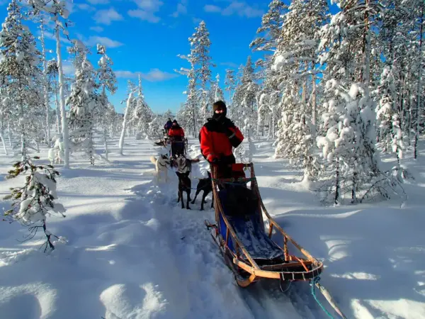 Mit unseren Huskys unterwegs - Lapplands Drag - Erlebnisrundreisen.de