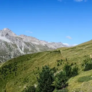 Wanderparadies Vinschgau - Wolfgang Schwartz - Erlebnisrundreisen.de