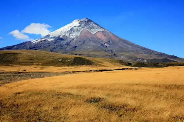 Blick auf den Cotopaxi - Alois Speck - © Alois Speck / Pachamama Tours - Erlebnisrundreisen.de