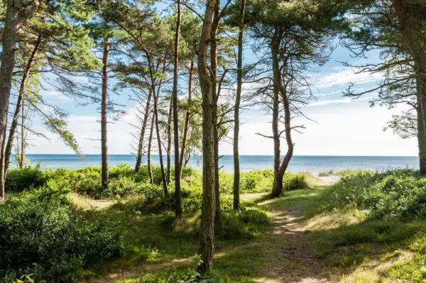 Bornholm - PatPat - © PatPat / Adobe.com - Erlebnisrundreisen.de