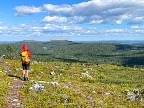 Rentiere in Finnisch Lappland - Fabian Ohl - Erlebnisrundreisen.de