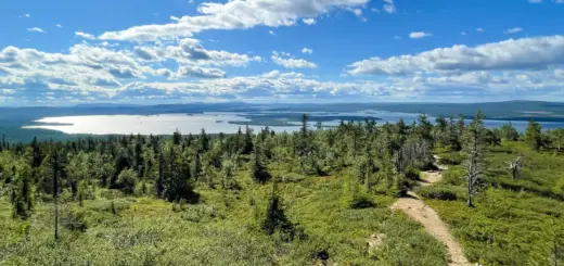 Panoramablick über den Pallas-Yllästunturi-Nationalpark - Fabian Ohl - Erlebnisrundreisen.de