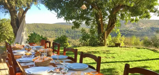Gemütliches Abendessen mit Aussicht - Cornelia Hempel - Erlebnisrundreisen.de