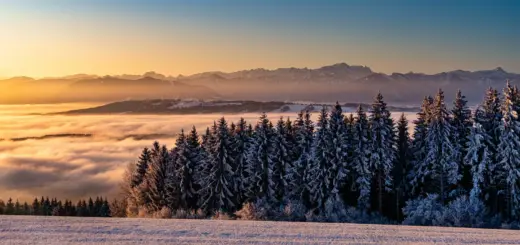 Ausblick vom Hohenpeissenberg - aBSicht - © aBSicht / Adobe.com - Erlebnisrundreisen.de