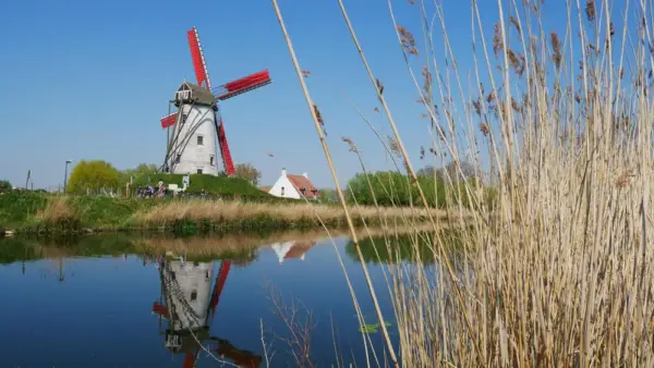Windmühle in Damme - jerome berquez - © jerome berquez / adobe.com - Erlebnisrundreisen.de