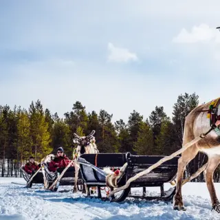 Schlittenfahrt der besonderen Art - - © Harriniva Hotels & Safaris - Erlebnisrundreisen.de