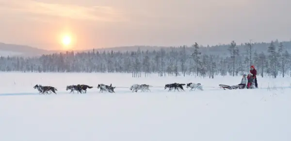 Huskyschlitten-Tour - Anna Öhlund - Anna Öhlund / imagebank.sweden.se - Erlebnisrundreisen.de