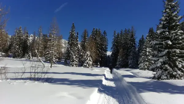 Winterlandschaft im Trentino - Ralph Krüger - Erlebnisrundreisen.de