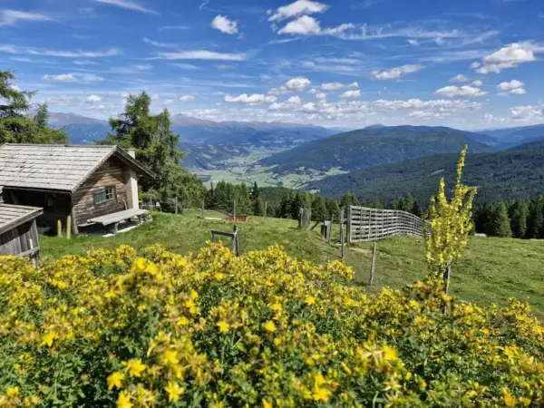 Blick von der Branntweineralm - Nicolas Eickmann