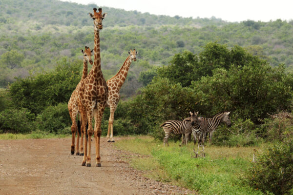 Südafrika | Erlebnisrundreisen.de