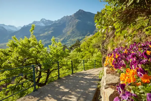 Frühling in Südtirol - IDM Südtirol / Stefan Schütz - Erlebnisrundreisen.de