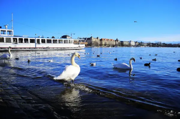 Zürichsee - ZürichTourism/RubianoSot - Erlebnisrundreisen.de