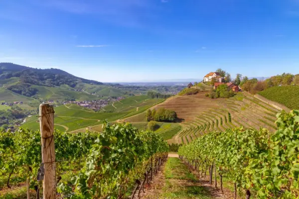Aussicht auf Schloss Staufenberg - Jürgen Fälchle - ©Jürgen Fälchle/ adobe stock - Erlebnisrundreisen.de