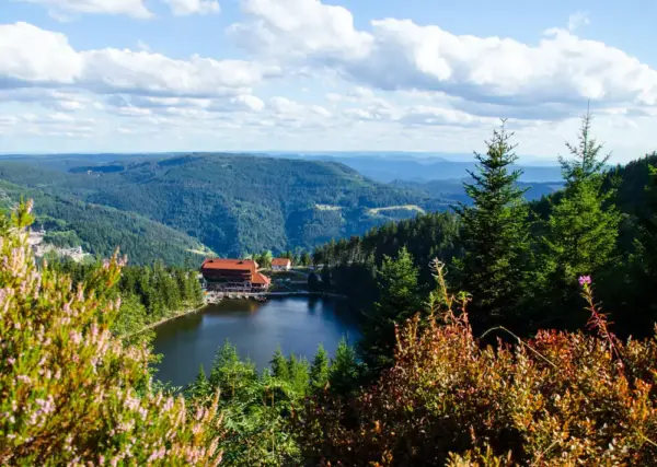 Aussicht auf den Mummelsee - Corri Seizinger - © Corri Seizinger /adobe stock - Erlebnisrundreisen.de