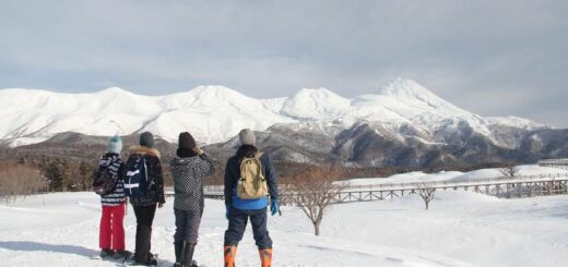 Active Japan: Hokkaido in Winter