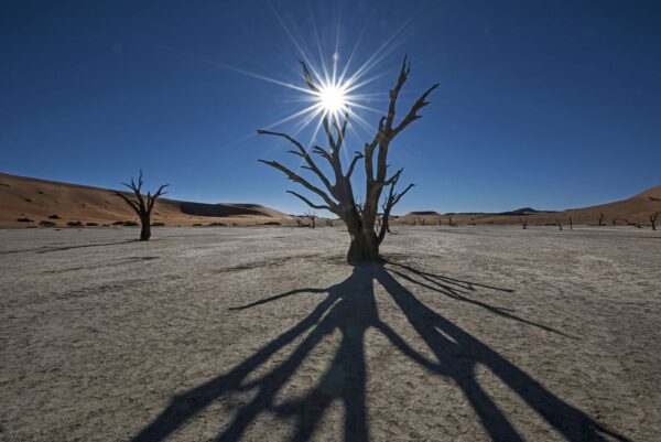 Im Deadvlei